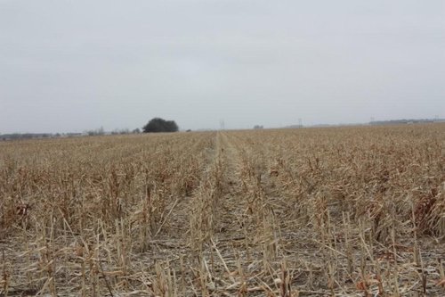 Property photo 30 - Kansas Land Auction - 960 Acres - 7 Farms in 3 Counties